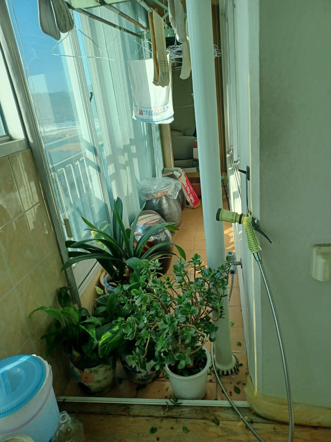 2950055133_1HTr5Lxu_85e673126cfc31e83e93ec283a9d609286448fd2.jpg 이미지크게보기