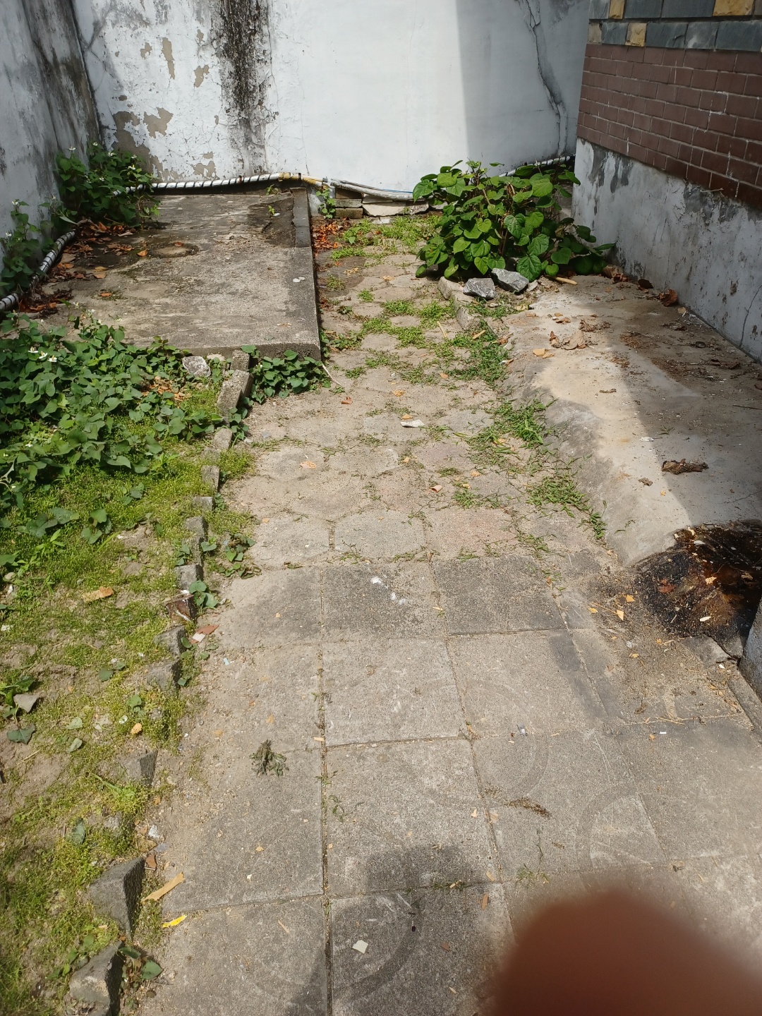 2950055133_OKIru51n_0fc5ca6aee9063079bc8fbfc31c86f006ec19168.jpg 이미지크게보기