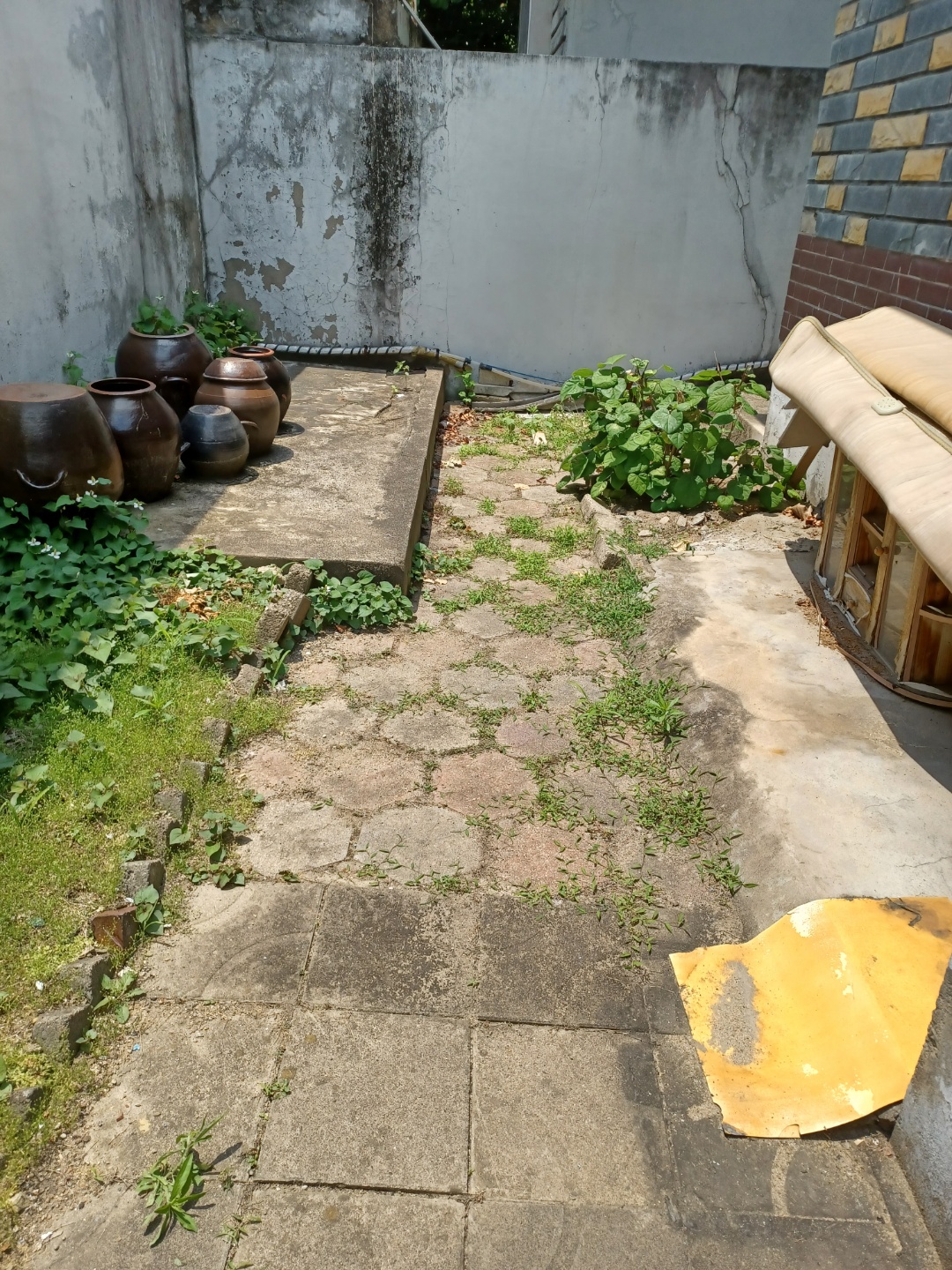2950055133_U0fPhGFQ_9eba912a47ee1bd945c6c9f6f7559ec5fdeb4d14.jpg 이미지크게보기