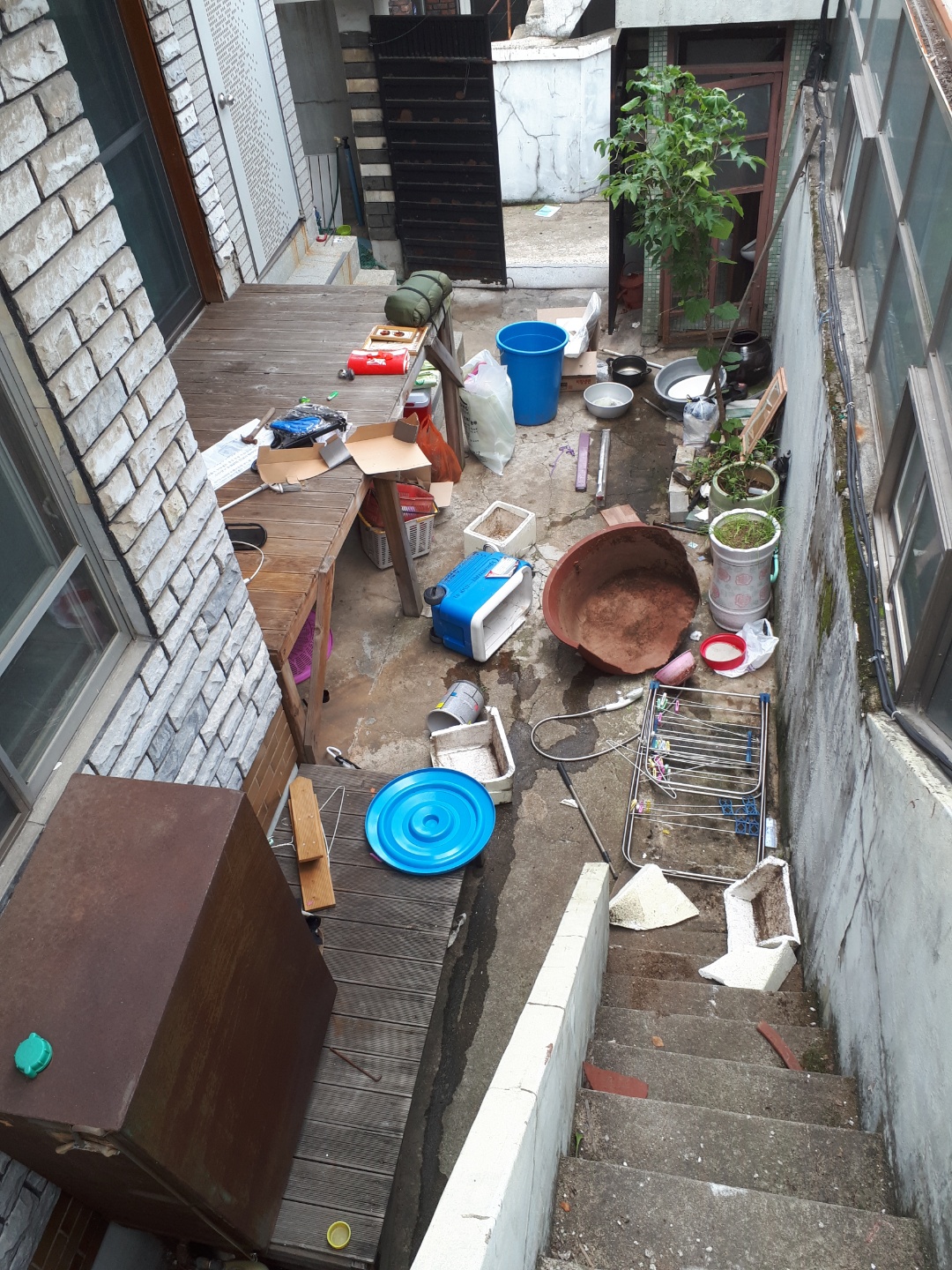 2950055133_b4Zo2at9_bdd11e4d35656eb73c6b8569d00d09a3232326de.jpg 이미지크게보기
