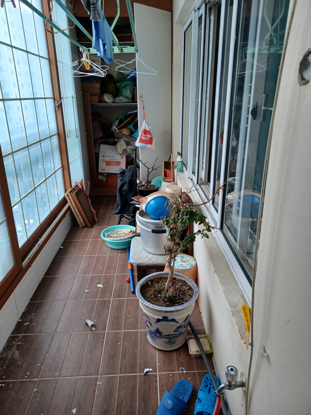 2950055133_rUsqog1J_3a7bb745a1945668cd6264bc9d4ab2766d028b56.jpg 이미지크게보기